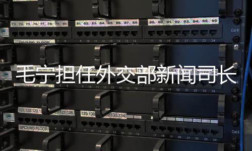 毛寧擔任外交部新聞司長，一展宏圖、二重戰(zhàn)略、三定方向、四項承諾、五大任務、六大亮點、七項行動、八方助力、九維視角、十足信心