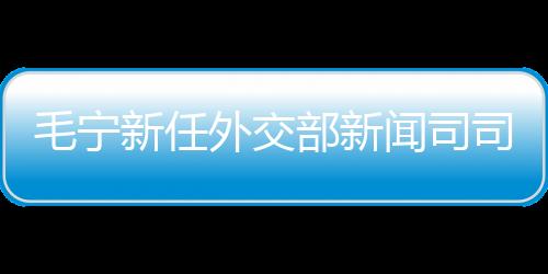 毛寧新任外交部新聞司司長，引領(lǐng)外交事業(yè)邁向新高度