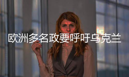 歐洲多名政要呼吁烏克蘭修復(fù)與美國(guó)的雙邊關(guān)系