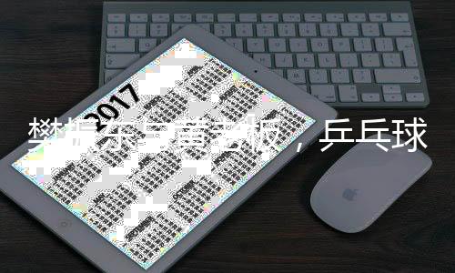 樊振東與黃老板，乒乓球桌旁的較量