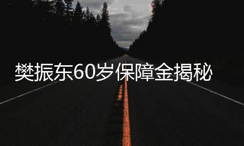 樊振東60歲保障金揭秘，月領六千并非夢想，揭秘其背后的多重保障