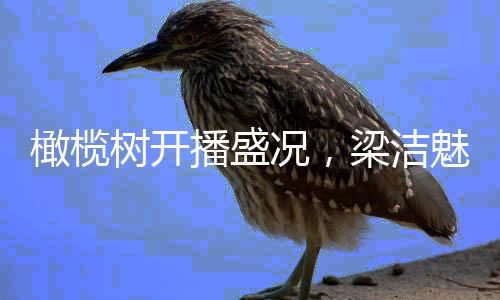 橄欖樹開播盛況，梁潔魅力飆升引發(fā)關(guān)注熱潮——短短三天漲粉四十余萬