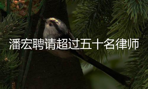 潘宏聘請超過五十名律師，探究背后的故事