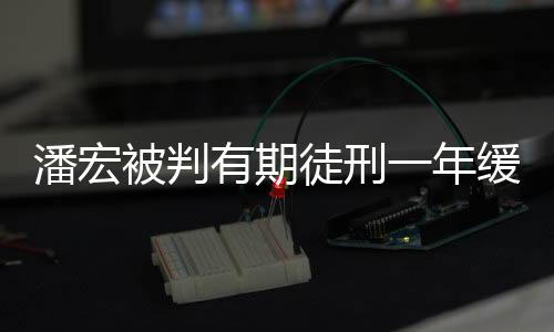 潘宏被判有期徒刑一年緩刑一年，案件細節(jié)與社會反響