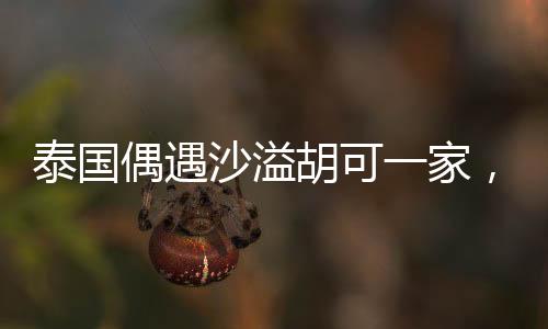 泰國偶遇沙溢胡可一家，明星家庭度假引發(fā)關(guān)注熱潮