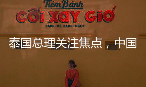 泰國(guó)總理關(guān)注焦點(diǎn)，中國(guó)女保鏢在泰國(guó)嶄露頭角，引發(fā)廣泛熱議