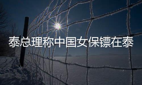 泰總理稱(chēng)中國(guó)女保鏢在泰國(guó)也火了，跨國(guó)安全合作的矚目焦點(diǎn)