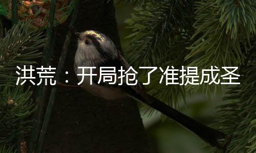 洪荒：開局搶了準提成圣蒲團！