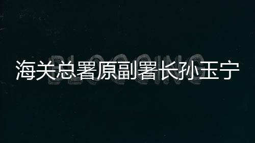 海關(guān)總署原副署長孫玉寧被逮捕，一探究竟
