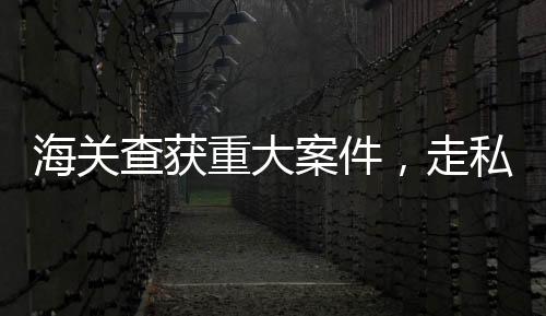 海關(guān)查獲重大案件，走私藏匿的珍稀生腌響尾蛇曝光揭秘一樁跨國走私大案，海關(guān)部門成功查獲一批珍貴野生動(dòng)物制品——生腌響尾蛇，共計(jì)達(dá)驚人重量的 1.2 公斤。據(jù)初步調(diào)查，這批被查獲的生腌響尾蛇可能是非法走私入境的珍稀野生動(dòng)物制品，涉及跨國犯罪集團(tuán)和非法貿(mào)易鏈。此次事件再次凸顯了海關(guān)部門在打擊走私犯罪和保護(hù)生態(tài)環(huán)境方面的決心和力度。接下來，我們將從十個(gè)方面對(duì)此事件進(jìn)行深入報(bào)道。