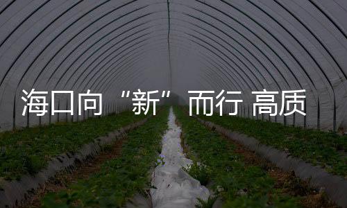 ?？谙颉靶隆倍?高質(zhì)量發(fā)展積厚成勢