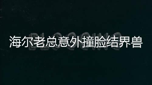 海爾老總意外撞臉結界獸，網友熱議背后的故事