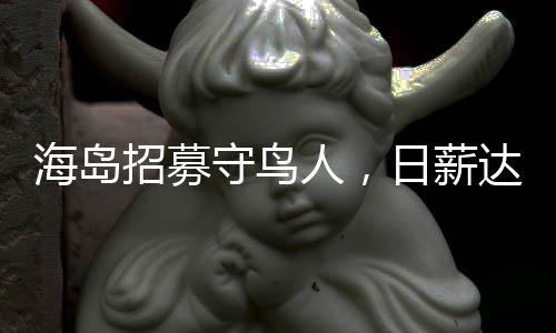 海島招募守鳥人，日薪達(dá)三百的獨(dú)特故事