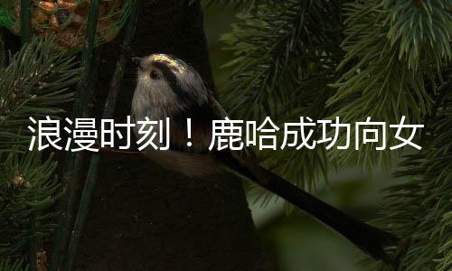 浪漫時刻！鹿哈成功向女友求婚成功