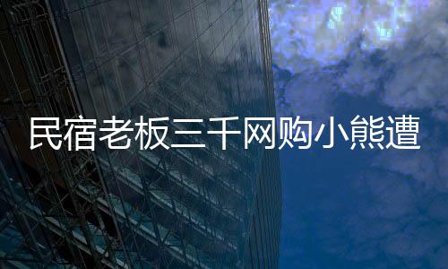 民宿老板三千網(wǎng)購小熊遭索賠3.8萬事件揭秘