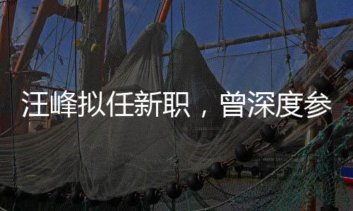 汪峰擬任新職，曾深度參與湄公河慘案審判
