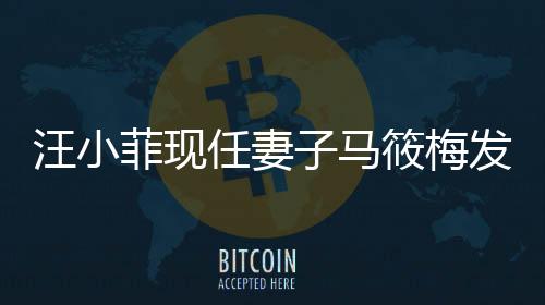 汪小菲現(xiàn)任妻子馬筱梅發(fā)聲，打破沉默背后的迷霧