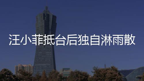 汪小菲抵臺(tái)后獨(dú)自淋雨散步，深夜感慨引發(fā)熱議