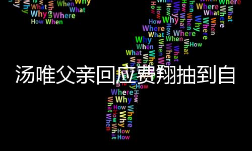 湯唯父親回應(yīng)費(fèi)翔抽到自己的書法作品，一段跨越文化的佳話