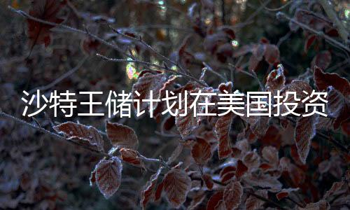 沙特王儲(chǔ)計(jì)劃在美國(guó)投資高達(dá)6000億美元，全球金融動(dòng)態(tài)新篇章