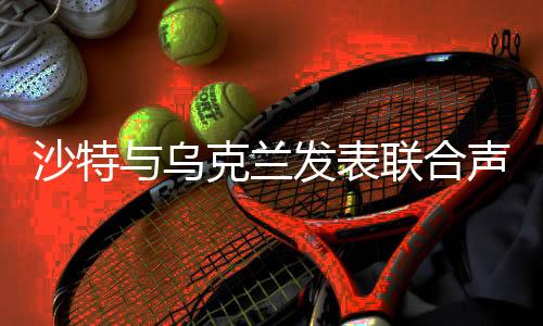 沙特與烏克蘭發(fā)表聯(lián)合聲明，兩大國攜手合作開啟新篇章