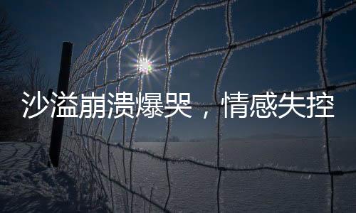 沙溢崩潰爆哭，情感失控背后的故事與觸動(dòng)