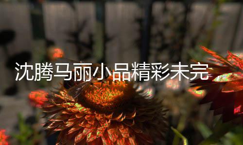 沈騰馬麗小品精彩未完，觀眾期待繼續(xù)