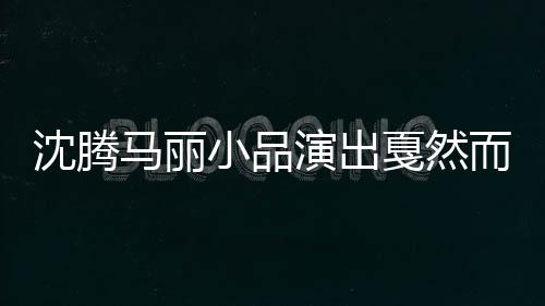 沈騰馬麗小品演出戛然而止，引發(fā)觀眾熱議的背后原因