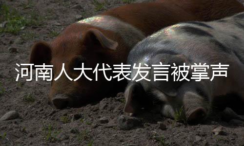 河南人大代表發(fā)言被掌聲打斷三次，現(xiàn)場觀察與深度解讀
