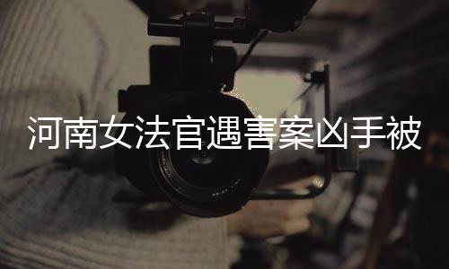 河南女法官遇害案兇手被依法執(zhí)行死刑，正義終得伸張