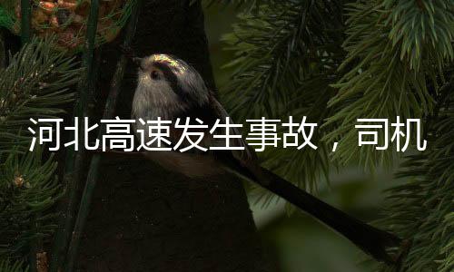 河北高速發(fā)生事故，司機(jī)選擇繼續(xù)回家之路