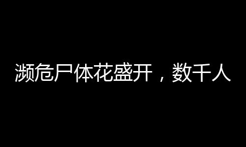 瀕危尸體花盛開，數(shù)千人排隊(duì)參觀，奇妙展覽引領(lǐng)關(guān)注生命終極話題