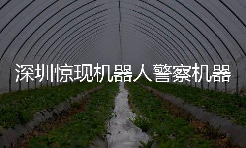 深圳驚現(xiàn)機(jī)器人警察機(jī)器人網(wǎng)格員，科技引領(lǐng)未來警務(wù)新模式