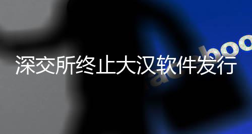 深交所終止大漢軟件發(fā)行上市審核，業(yè)內(nèi)反響及相關(guān)解析