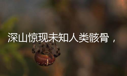 深山驚現(xiàn)未知人類骸骨，考古學專家緊急介入調(diào)查