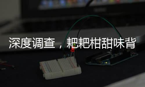 深度調(diào)查，耙耙柑甜味背后的真相——是否涉及退酸劑使用
