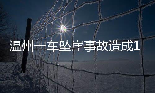 溫州一車(chē)墜崖事故造成1死4傷慘劇
