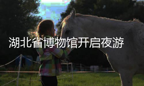 湖北省博物館開啟夜游 元宵奇妙夜精彩上演