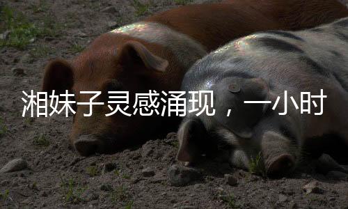 湘妹子靈感涌現(xiàn)，一小時(shí)創(chuàng)作出王菲新歌歌詞