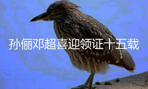 孫儷鄧超喜迎領(lǐng)證十五載，共度風(fēng)雨路仍顯深情蜜意