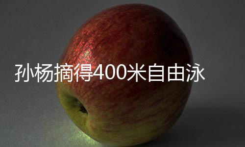 孫楊摘得400米自由泳銀牌，泳壇巨星再創(chuàng)輝煌