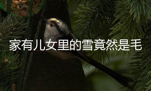 家有兒女里的雪竟然是毛巾——揭秘一部經(jīng)典家庭劇中的隱藏秘密