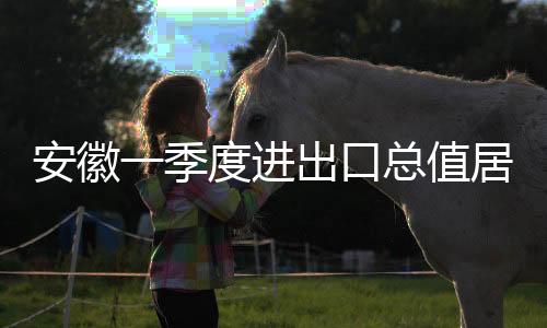 安徽一季度進(jìn)出口總值居中國中部省份第一