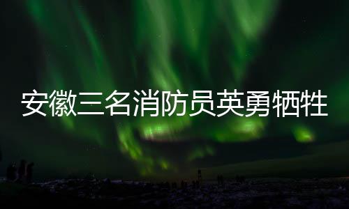 安徽三名消防員英勇犧牲，家屬無悔堅守