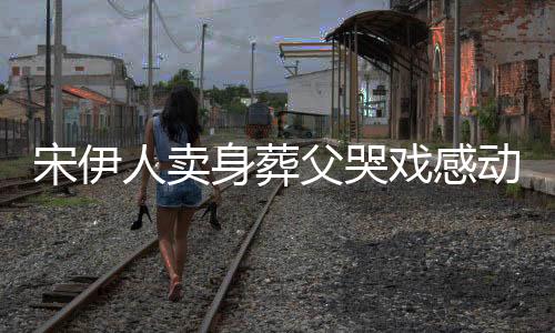 宋伊人賣身葬父哭戲感動(dòng)章子怡，演技背后的故事與情感深度探討