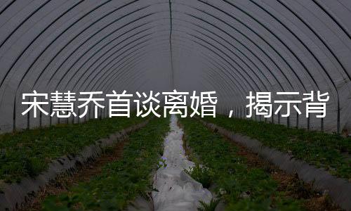 宋慧喬首談離婚，揭示背后故事與情感轉(zhuǎn)折