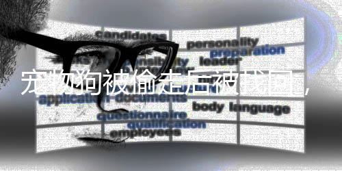 寵物狗被偷走后被找回，一場曲折又感人的歷程
