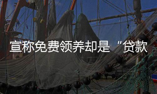 宣稱免費領(lǐng)養(yǎng)卻是“貸款買貓” 記者調(diào)查寵物領(lǐng)養(yǎng)套路