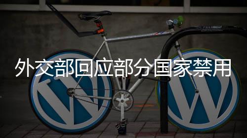 外交部回應(yīng)部分國(guó)家禁用DeepSeek，技術(shù)中立與全球合作的重要性