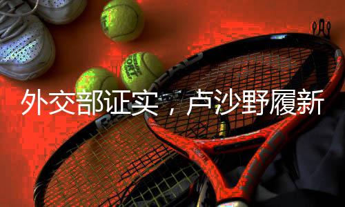 外交部證實，盧沙野履新，展現(xiàn)新時代外交風采